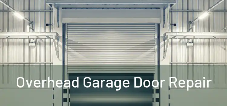  Overhead Garage Door Repair 